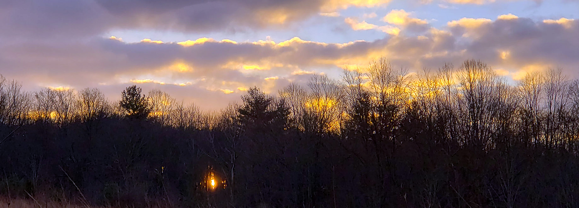 Slideshow Image - Gorman Nature Center's trees silhouetted in the sunset